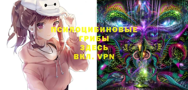 шишки Алексин