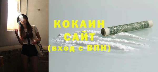 шишки Алексин