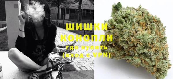 шишки Алексин