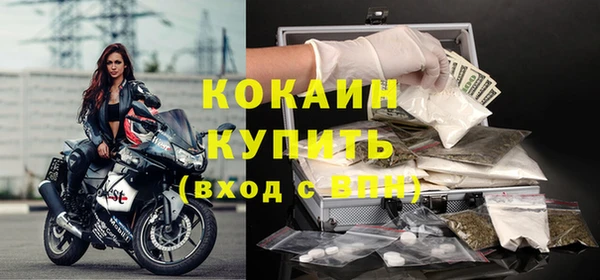 прущий лед Алзамай