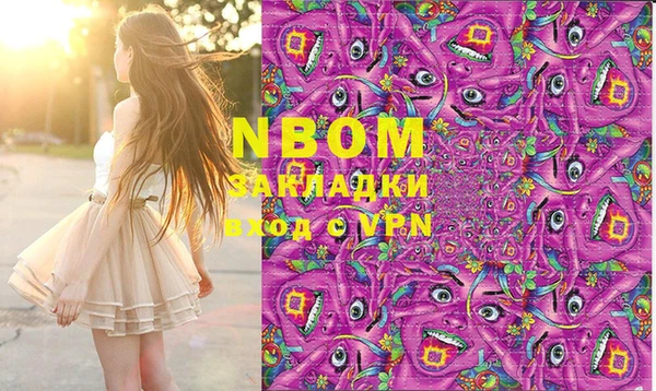 прущий лед Алзамай
