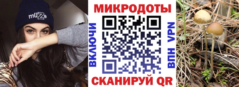 Галлюциногенные грибы Psilocybe  ОМГ ОМГ как войти  Покров 